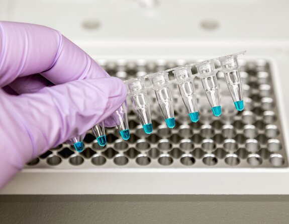 pcr