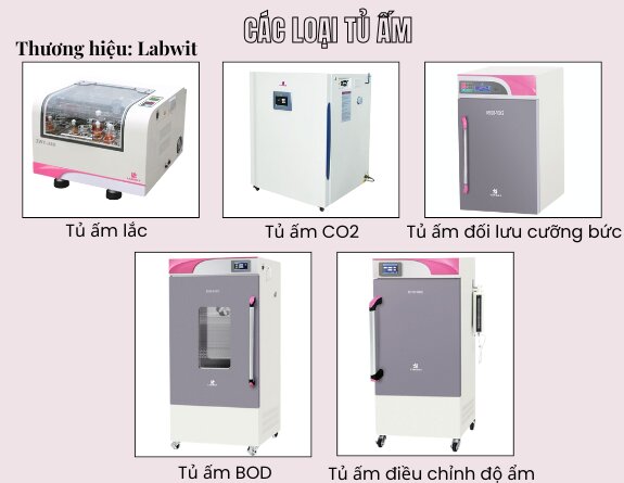 cac-loai-tu-am.jpg