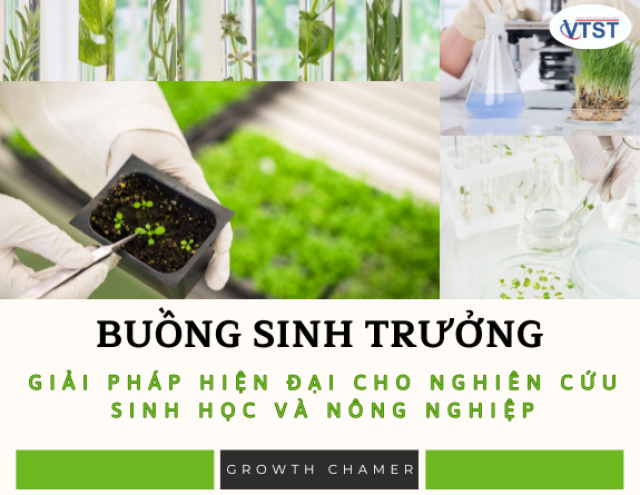buồng sinh trưởng.png