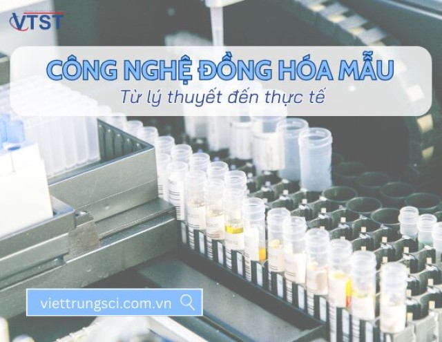 đồng hóa mẫu.jpg