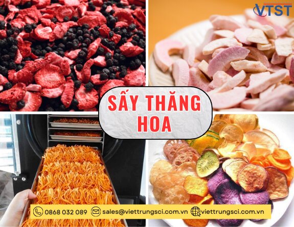 say-thang-hoa-dong-kho (2).jpg