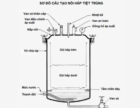 so-do-cau-tao-noi-hap-tiet-trung.jpg